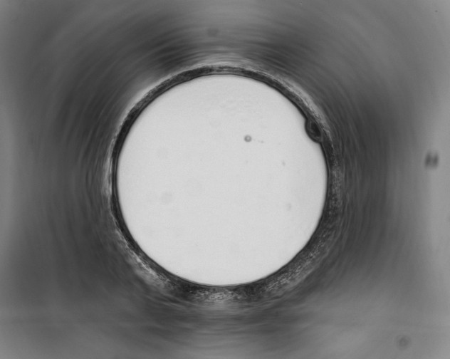 X0000100320791200807031209