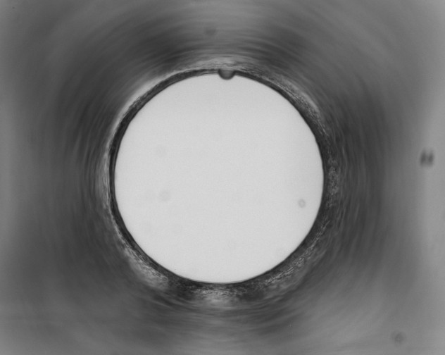 X0000100320792200807031209