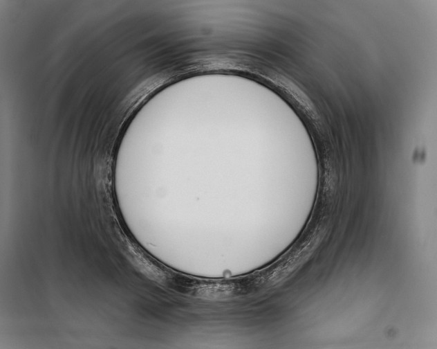 X0000100320793200807031209