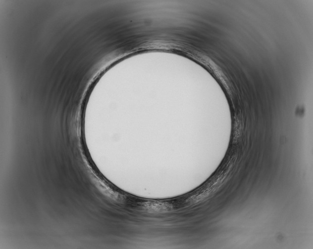 X0000100320795200807031209