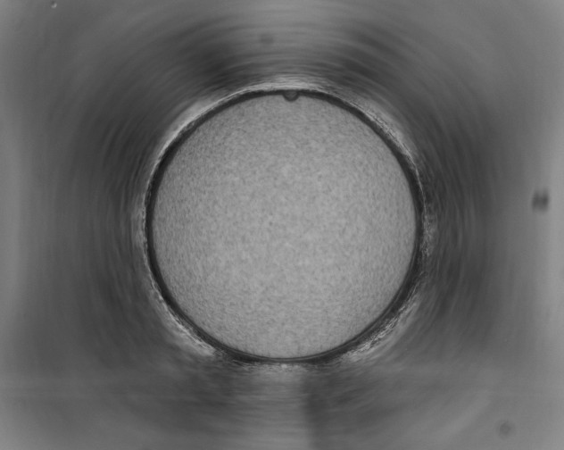 X0000100320797200807031209