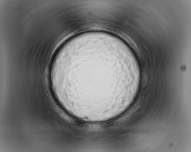 X0000100320798200807031209