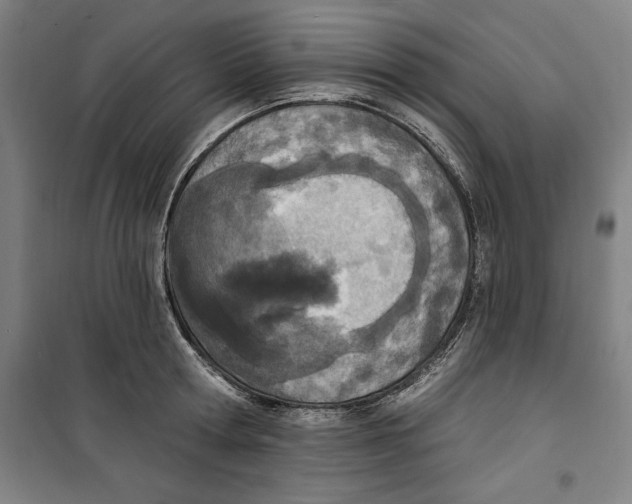 X0000100320802200807031209