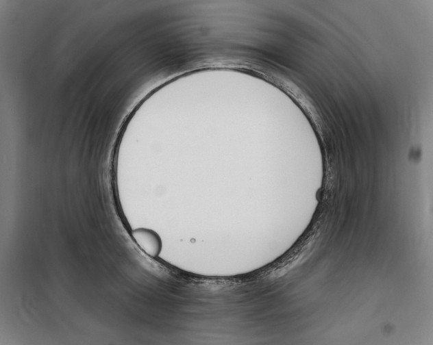 X0000100320803200807031209