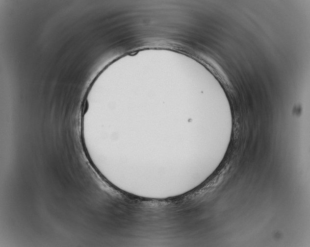 X0000100320804200807031209