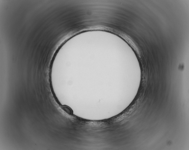 X0000100320805200807031209