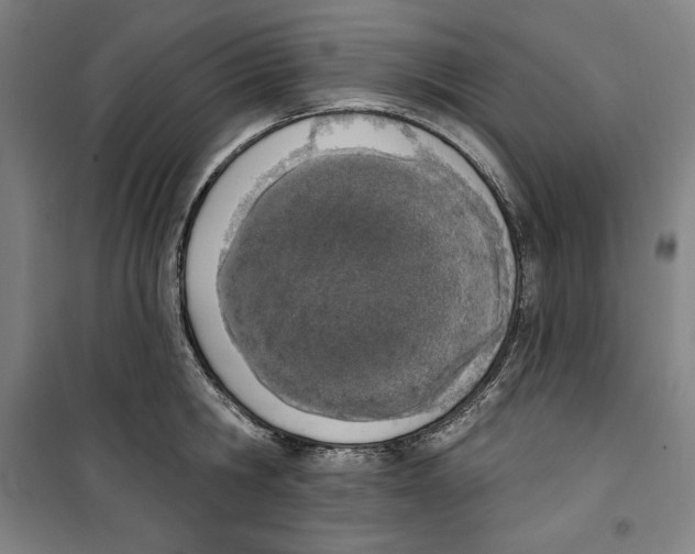 X0000100320806200807031209