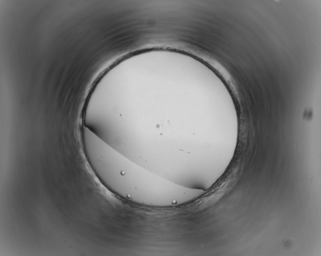 X0000100320807200807031209