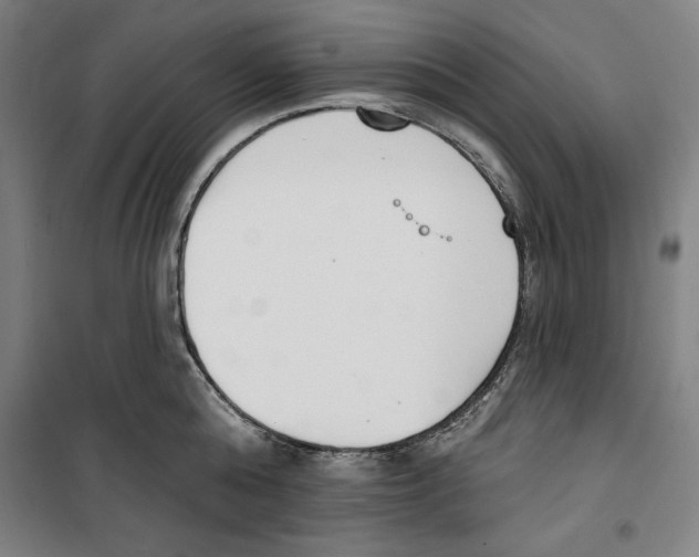 X0000100320808200807031209