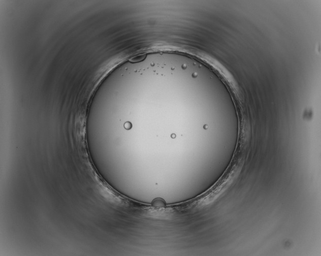 X0000100320809200807031209