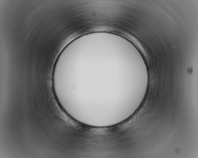 X0000100320810200807031209