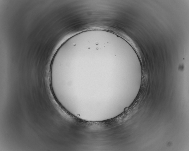 X0000100320811200807031209