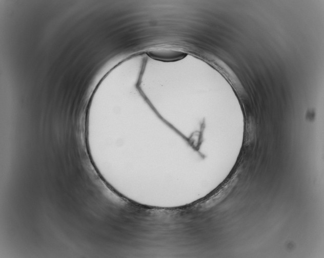 X0000100320812200807031209