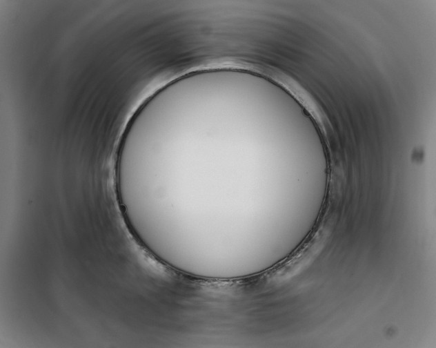 X0000100320813200807031209