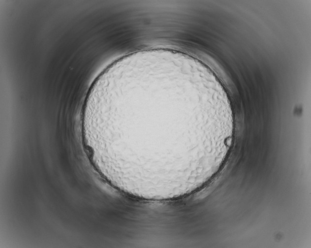 X0000100320814200807031209