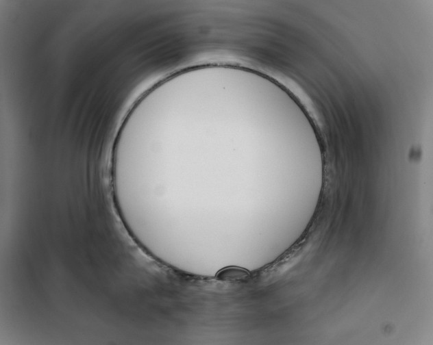 X0000100320815200807031209