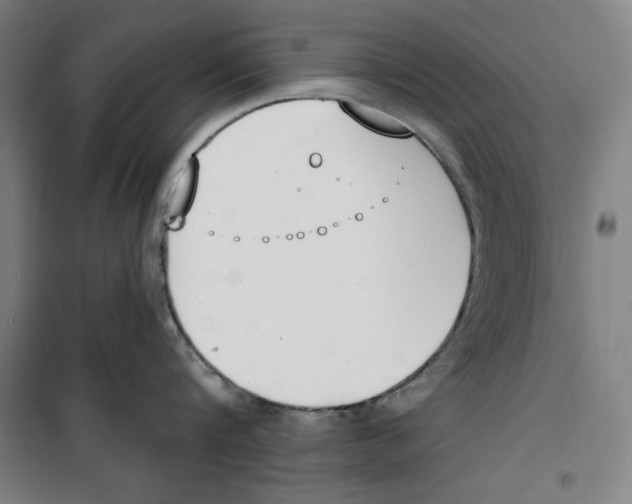 X0000100320816200807031209