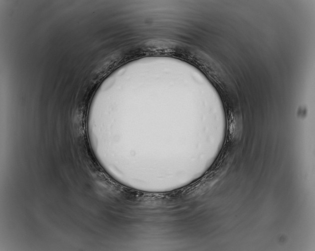 X0000100320819200807031208