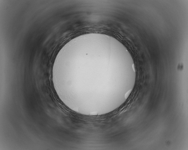 X0000100320820200807031208