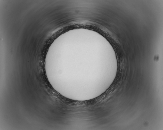 X0000100320822200807031208