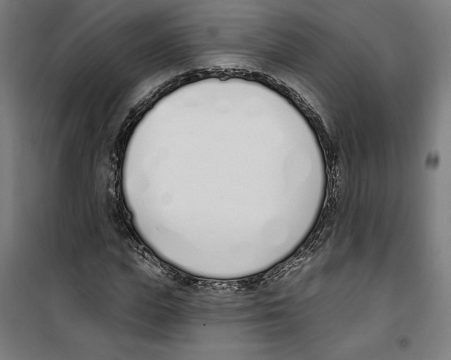 X0000100320823200807031208