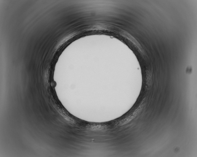 X0000100320826200807031208