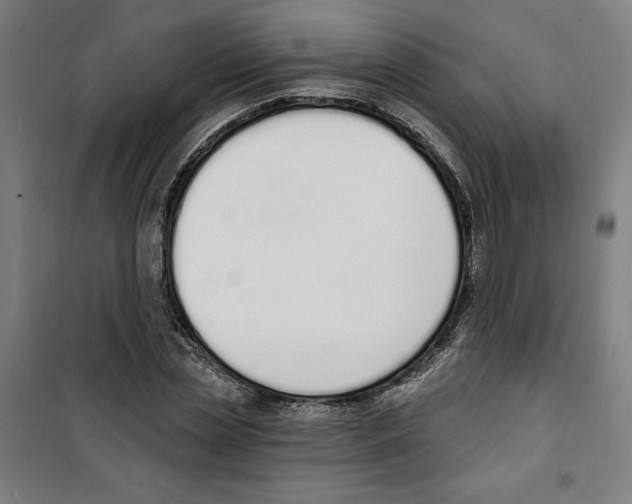 X0000100320829200807031208