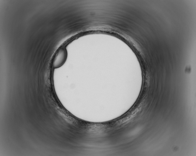 X0000100320830200807031208