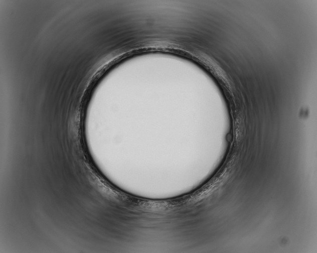 X0000100320831200807031208