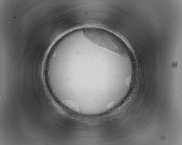 X0000100320832200807031208