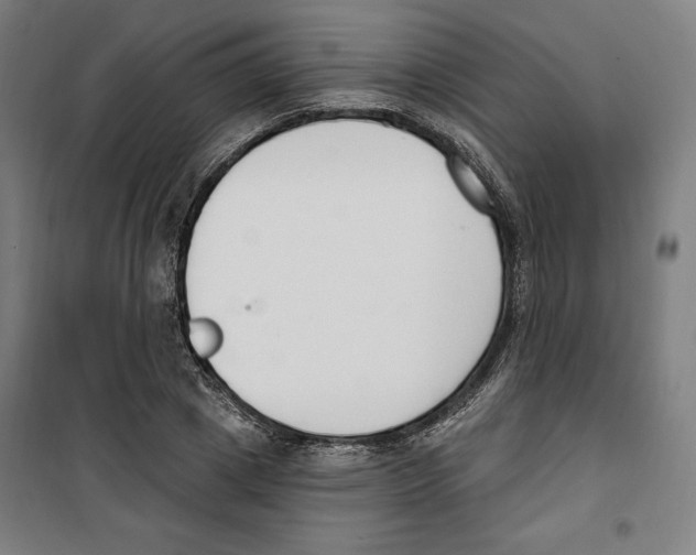 X0000100320833200807031208