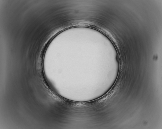 X0000100320835200807031208