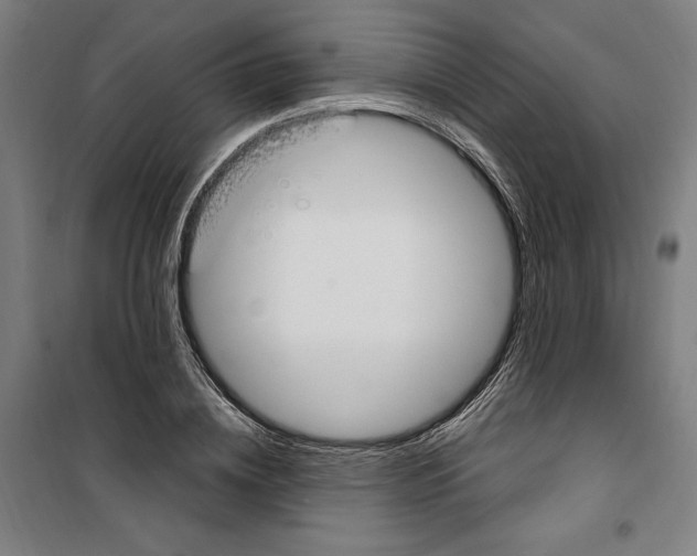 X0000100320836200807031208