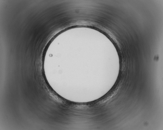 X0000100320837200807031208