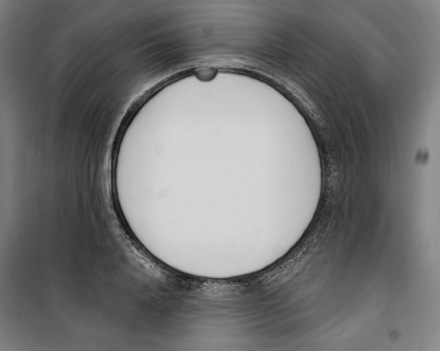 X0000100320840200807031209