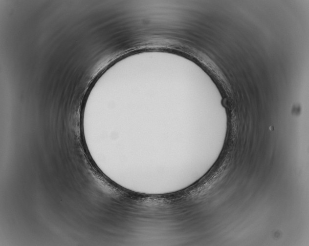 X0000100320842200807031209