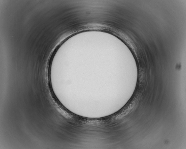 X0000100320843200807031209