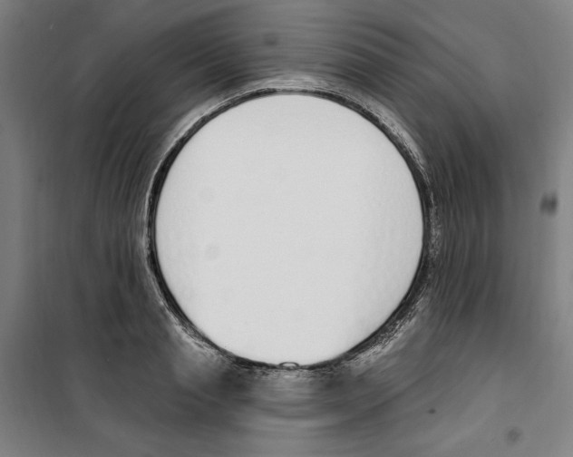 X0000100320845200807031209