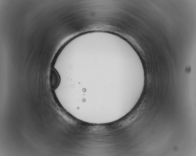 X0000100320846200807031209