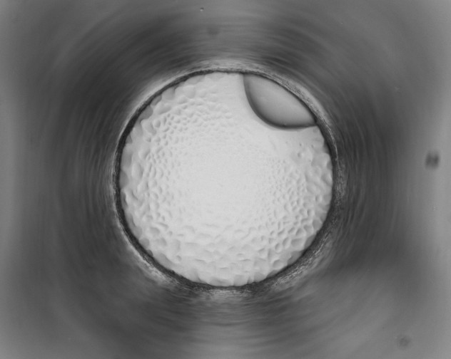 X0000100320847200807031209