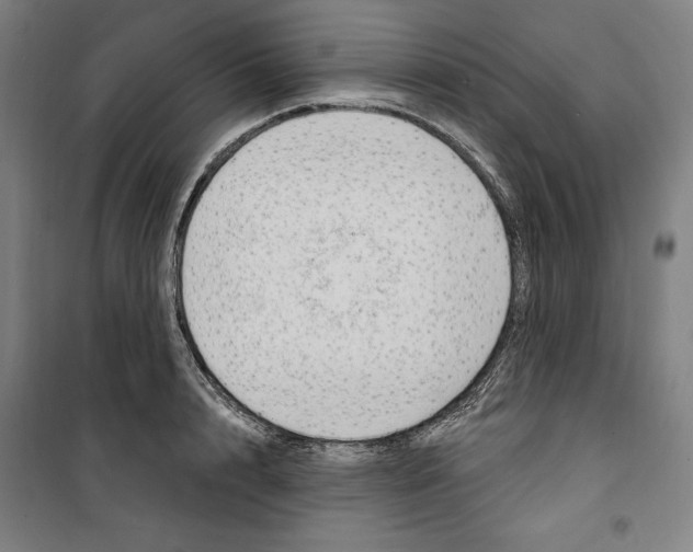 X0000100320848200807031209