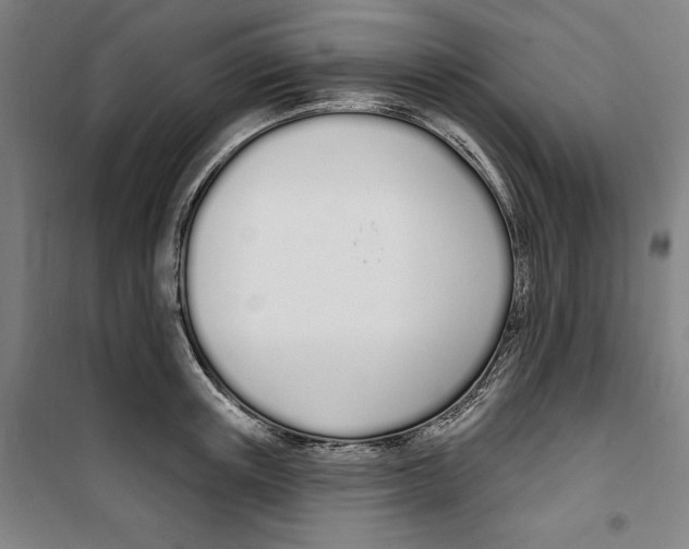 X0000100320851200807031209