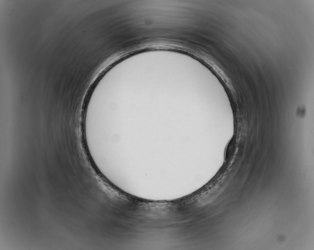 X0000100320853200807031209