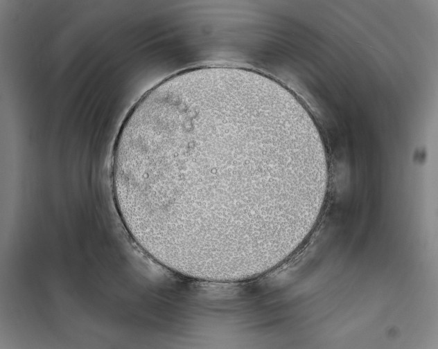 X0000100320856200807031209