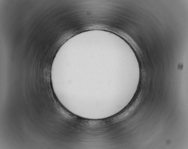 X0000100320857200807031209