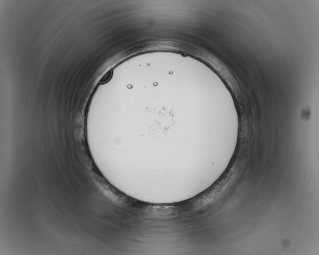 X0000100320858200807031209