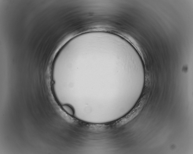 X0000100320859200807031209