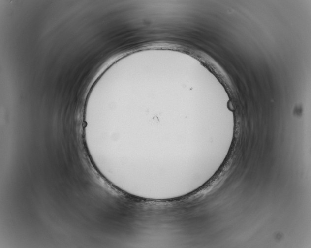 X0000100320860200807031209