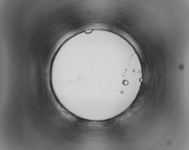 X0000100320861200807031209