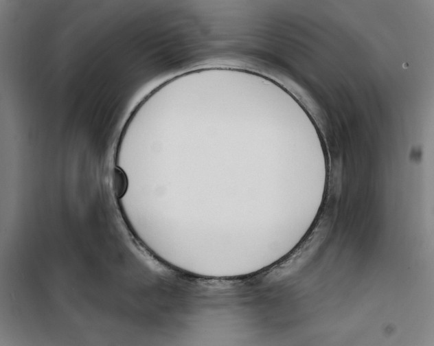 X0000100320862200807031209